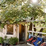 Om Living Pelion * Áyios Dhimítrios