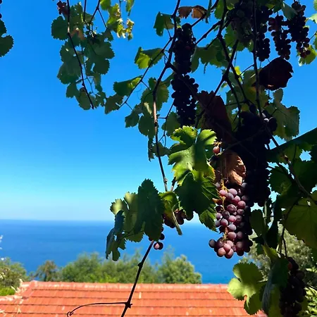 Om Living Pelion *