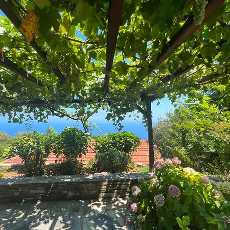 Апартаменты Om Living Pelion Агиос-Димитриос