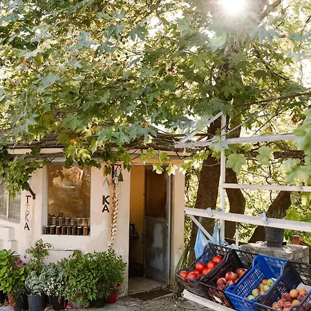 Om Living Pelion * Áyios Dhimítrios