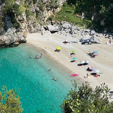 Om Living Pelion Áyios Dhimítrios