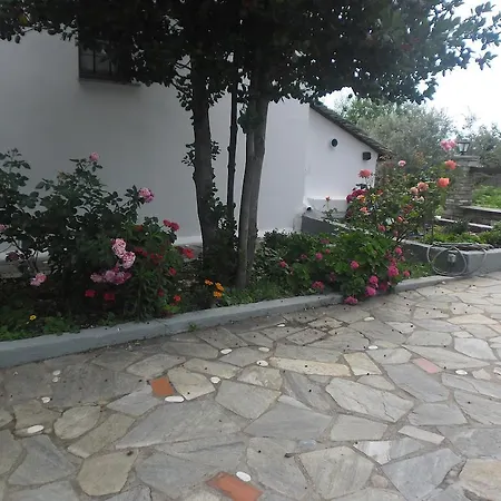 Om Living Pelion