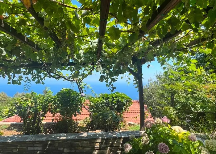 公寓 Om Living Pelion Áyios Dhimítrios