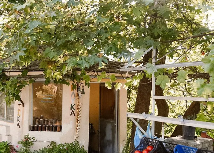 Om Living Pelion * Áyios Dhimítrios